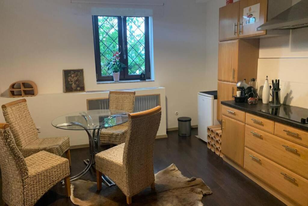 Gartenwohnung 5 Min. Zur Stadt Hagenau 외부 사진