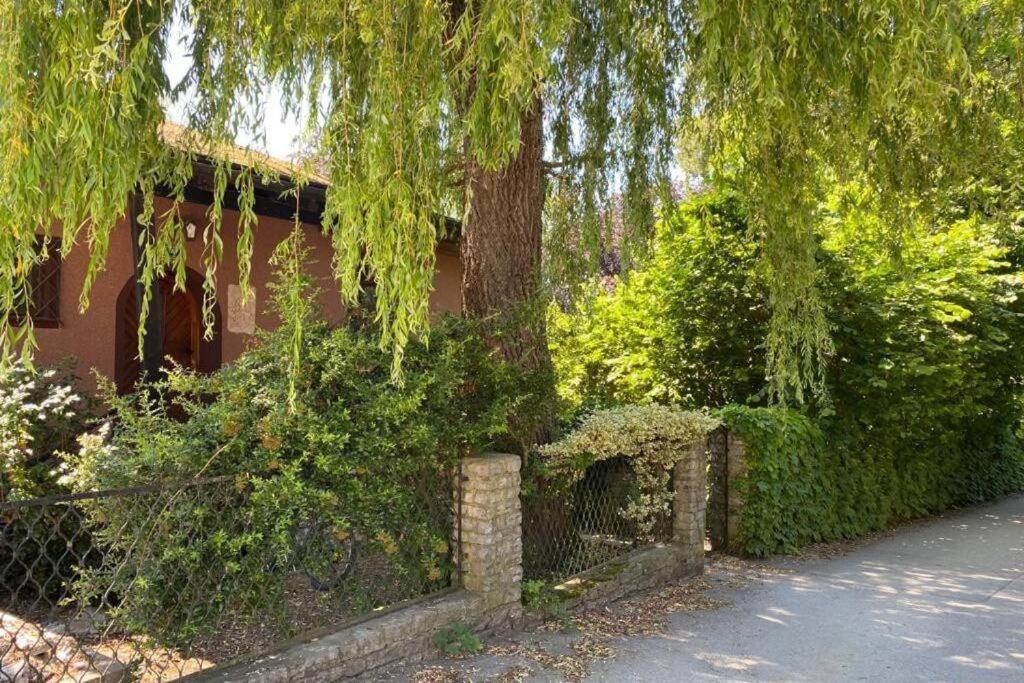 Gartenwohnung 5 Min. Zur Stadt Hagenau 외부 사진